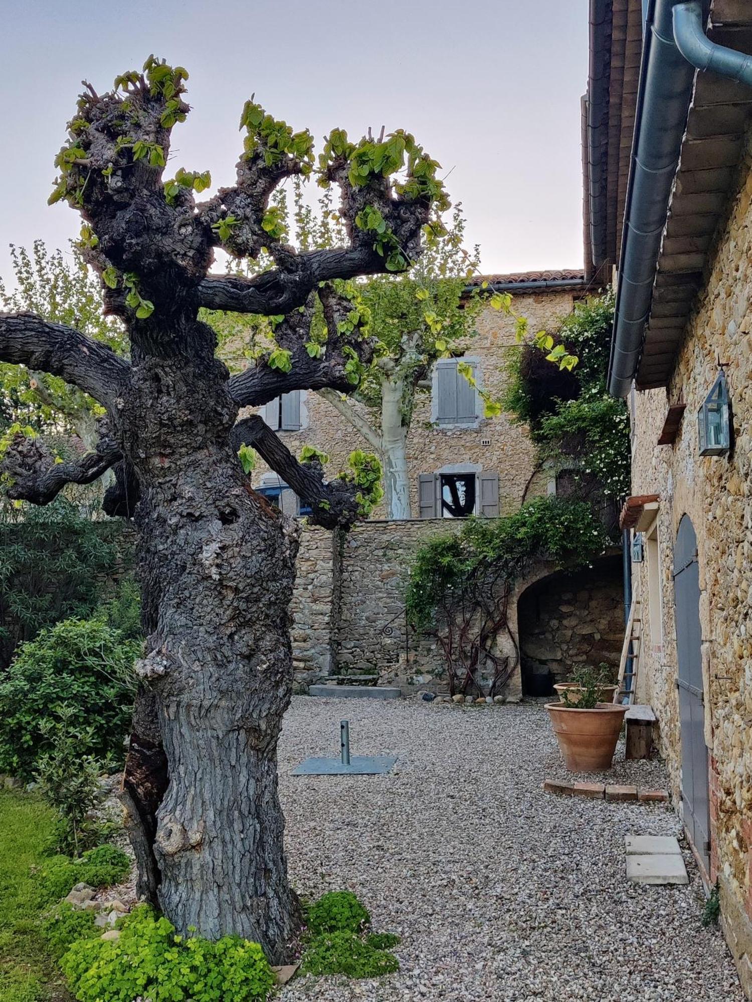 L'Etoffe, Charmante Chambre Dans Un Mas Cevenol Boisset-et-Gaujac Exteriör bild